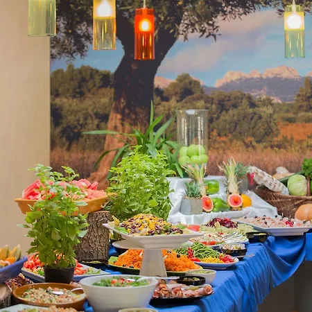 Hotel Vacances Bleues Hotel Castel Luberon 3*